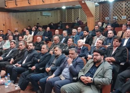 مجمع مشورتی نظام مسائل ظرفیت ارزشمندی برای مجلس است