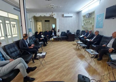 نشست تخصصی کمیسیون آب، کشاورزی، منابع طبیعی و محیط زیست مجمع نظام مسائل استان خراسان جنوبی