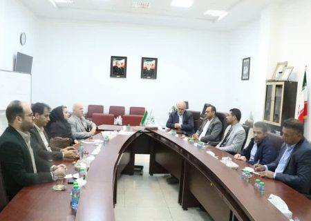 مجمع مشورتی نظام مسائل استان فارس،بازوی نخبگانی شورای شهرشیراز در تصمیم‌سازی شهری